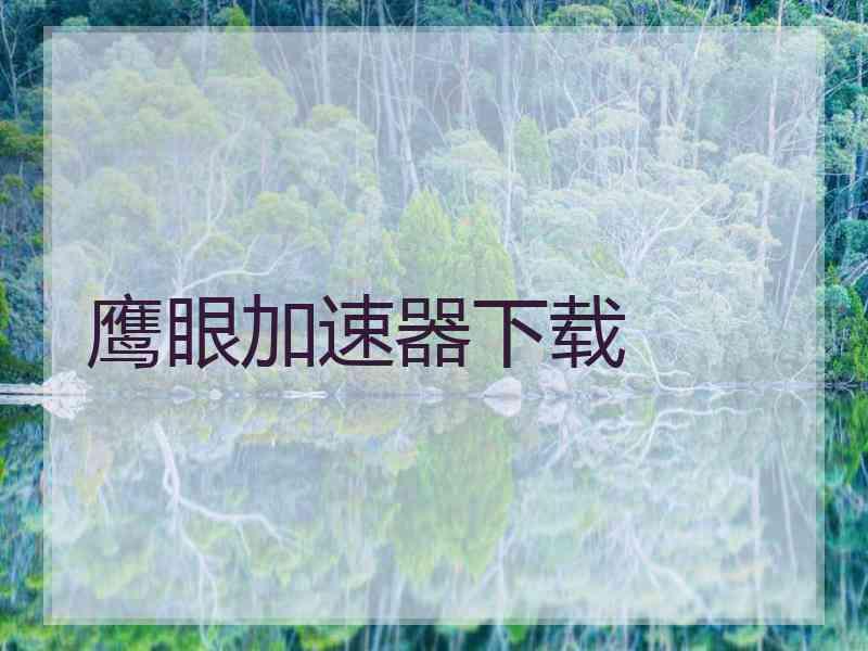 鹰眼加速器下载