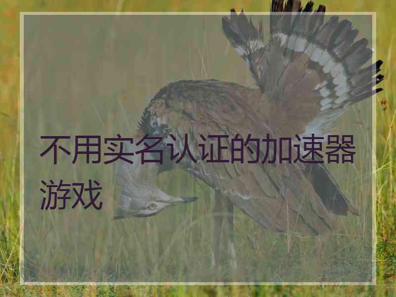 不用实名认证的加速器游戏