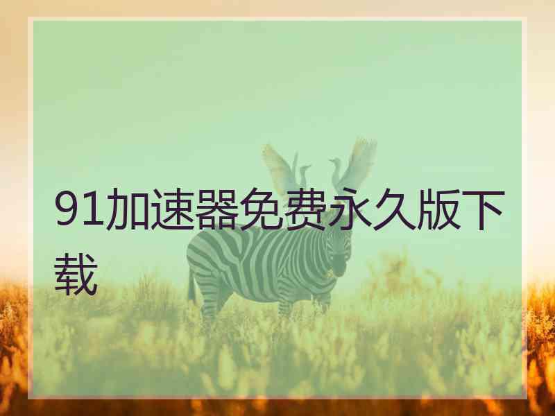 91加速器免费永久版下载