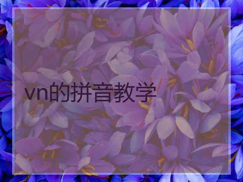 vn的拼音教学