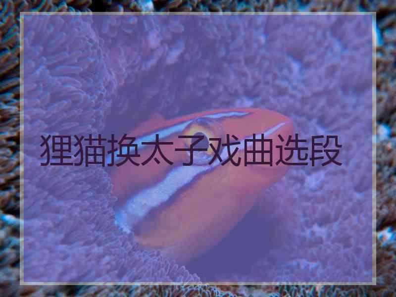 狸猫换太子戏曲选段