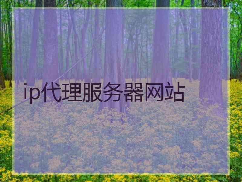 ip代理服务器网站