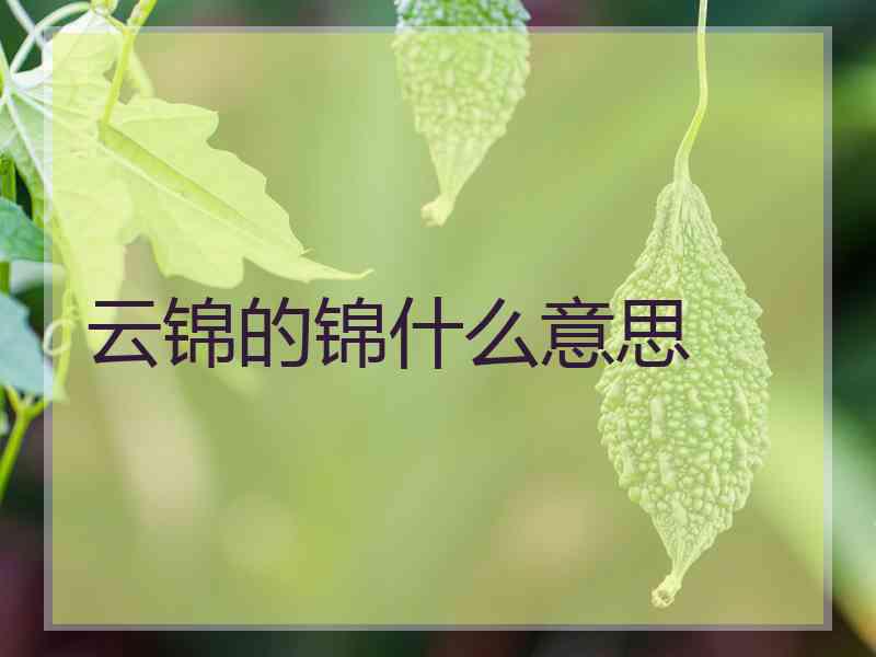 云锦的锦什么意思