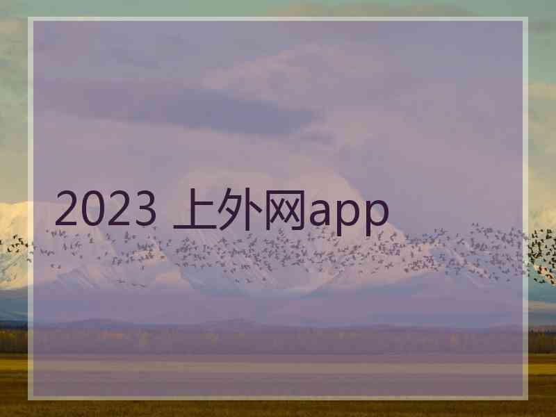 2023 上外网app