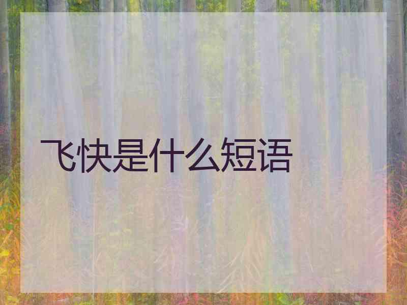 飞快是什么短语