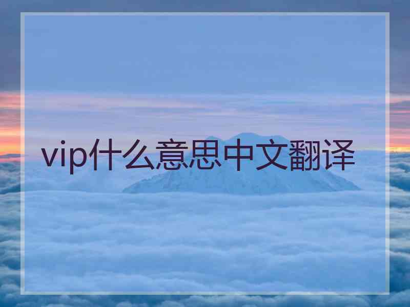 vip什么意思中文翻译