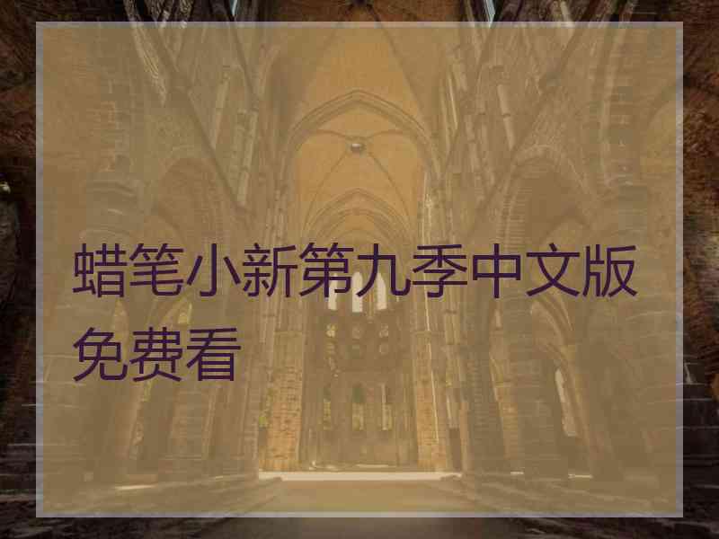 蜡笔小新第九季中文版免费看