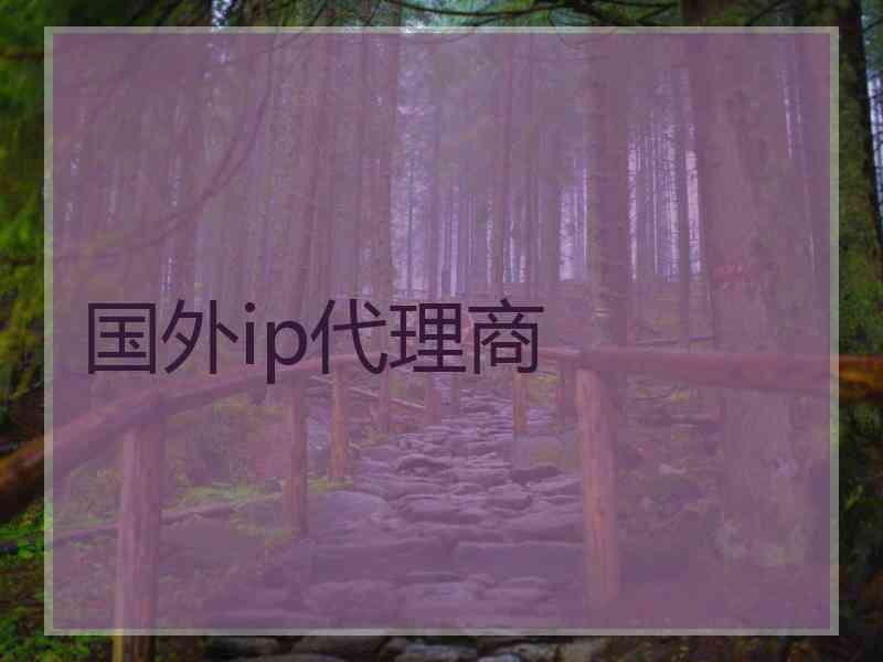 国外ip代理商