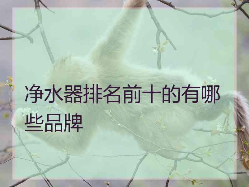 净水器排名前十的有哪些品牌