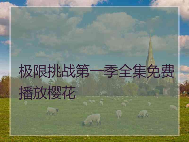 极限挑战第一季全集免费播放樱花