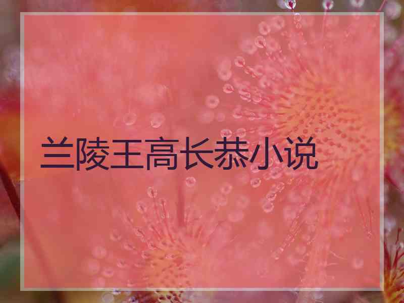 兰陵王高长恭小说