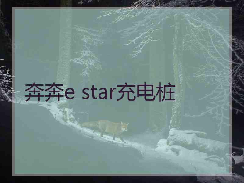 奔奔e star充电桩