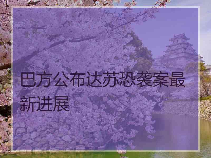 巴方公布达苏恐袭案最新进展
