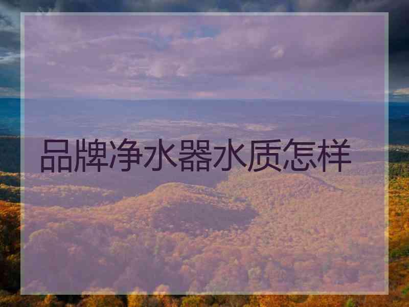 品牌净水器水质怎样
