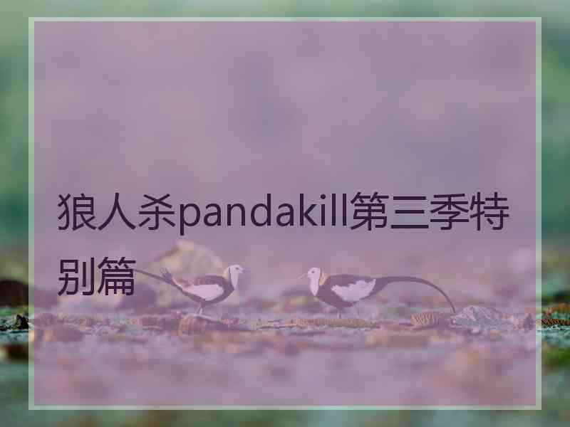 狼人杀pandakill第三季特别篇