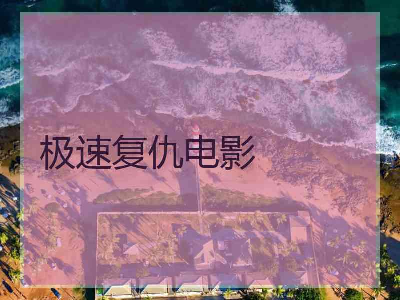 极速复仇电影