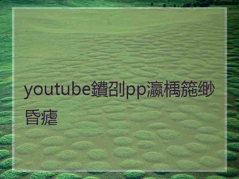 youtube鐨刟pp瀛楀箷缈昏瘧