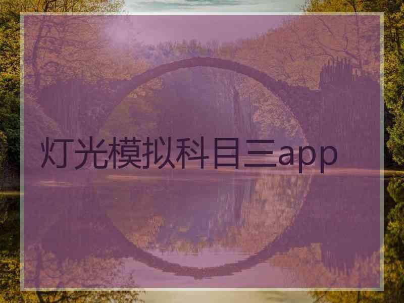 灯光模拟科目三app