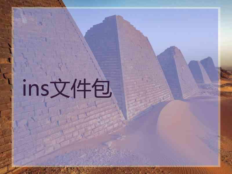 ins文件包