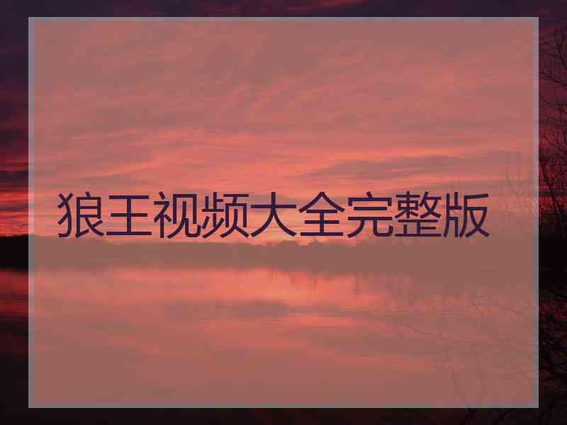 狼王视频大全完整版