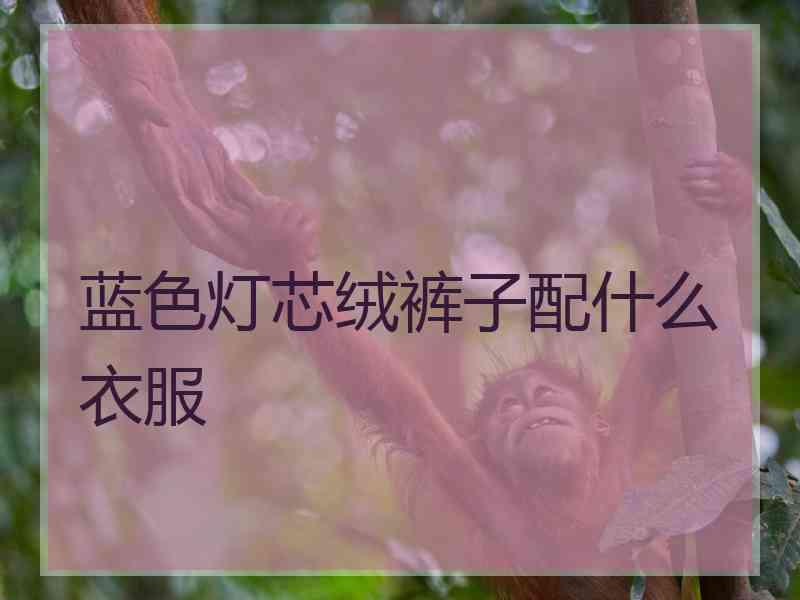 蓝色灯芯绒裤子配什么衣服