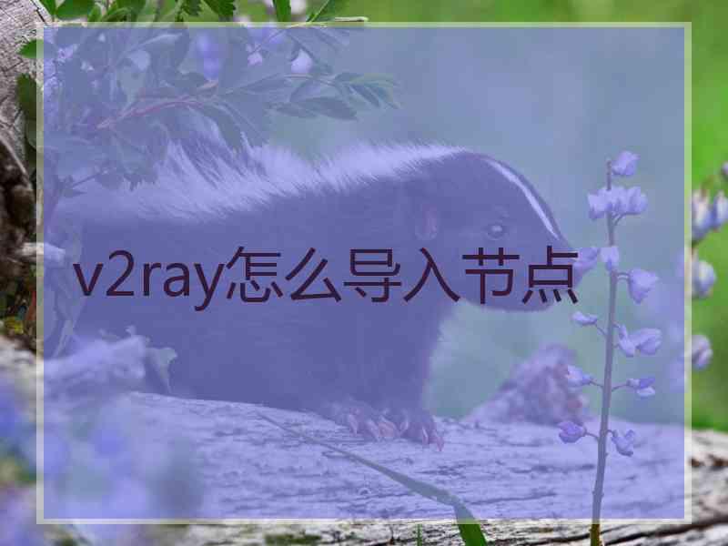 v2ray怎么导入节点