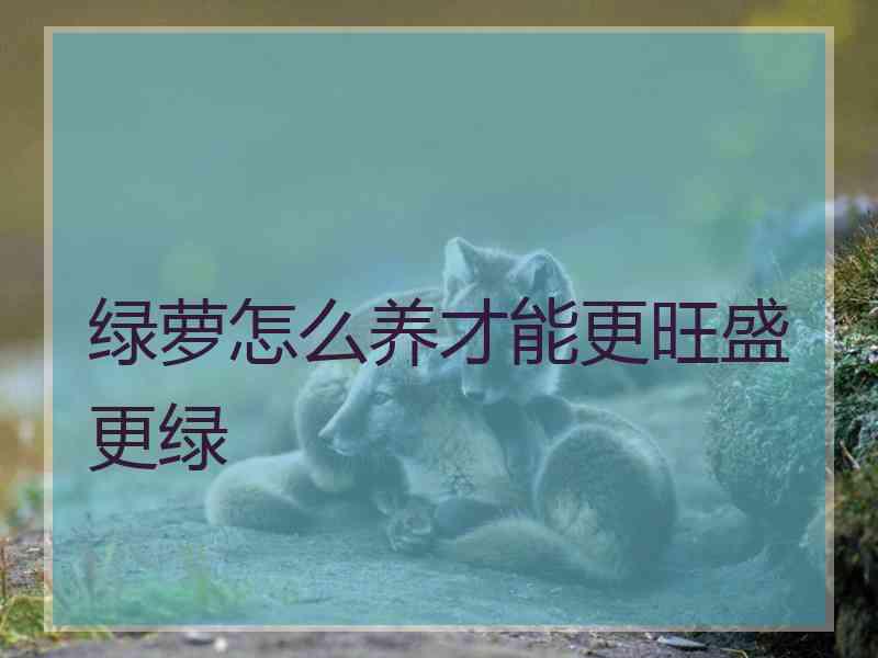绿萝怎么养才能更旺盛更绿