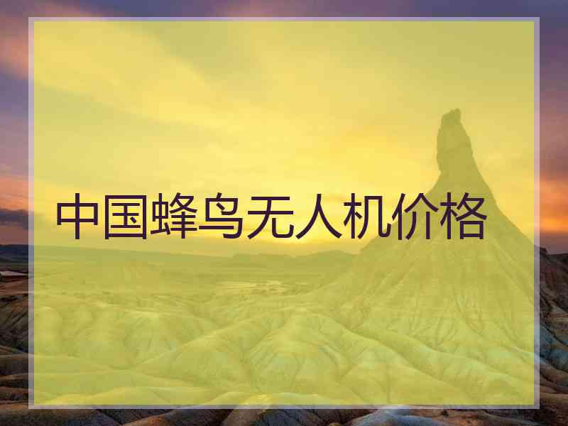 中国蜂鸟无人机价格