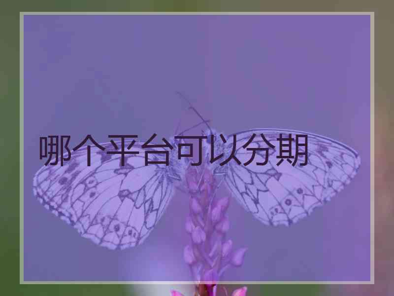 哪个平台可以分期