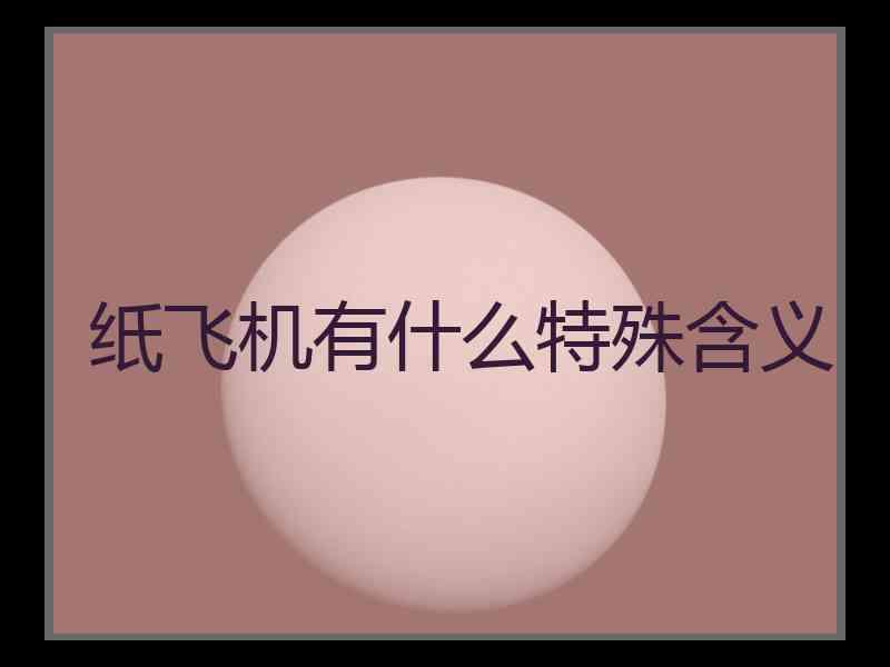 纸飞机有什么特殊含义