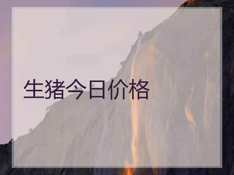 生猪今日价格