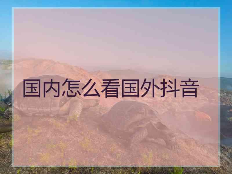 国内怎么看国外抖音