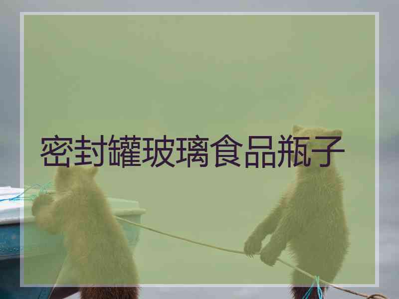 密封罐玻璃食品瓶子
