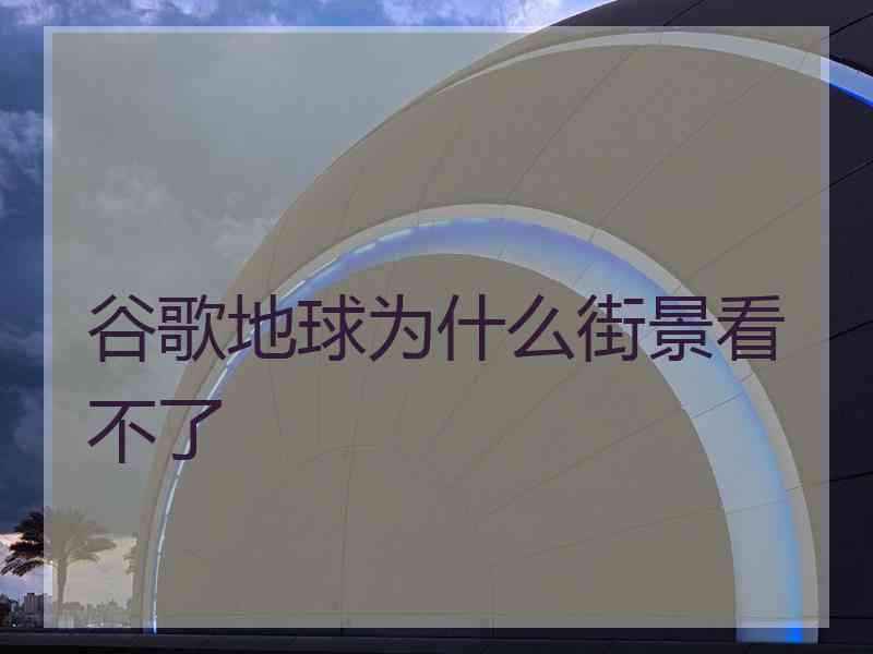 谷歌地球为什么街景看不了