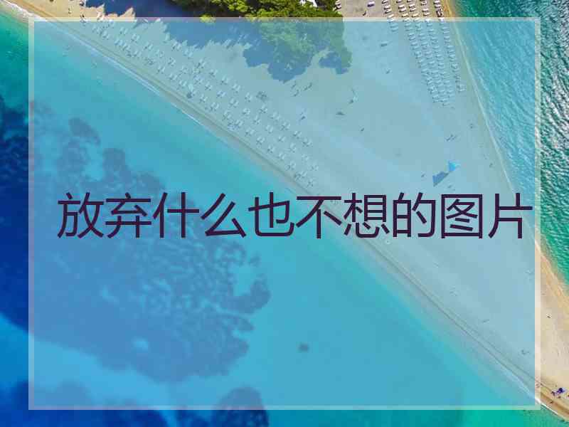 放弃什么也不想的图片