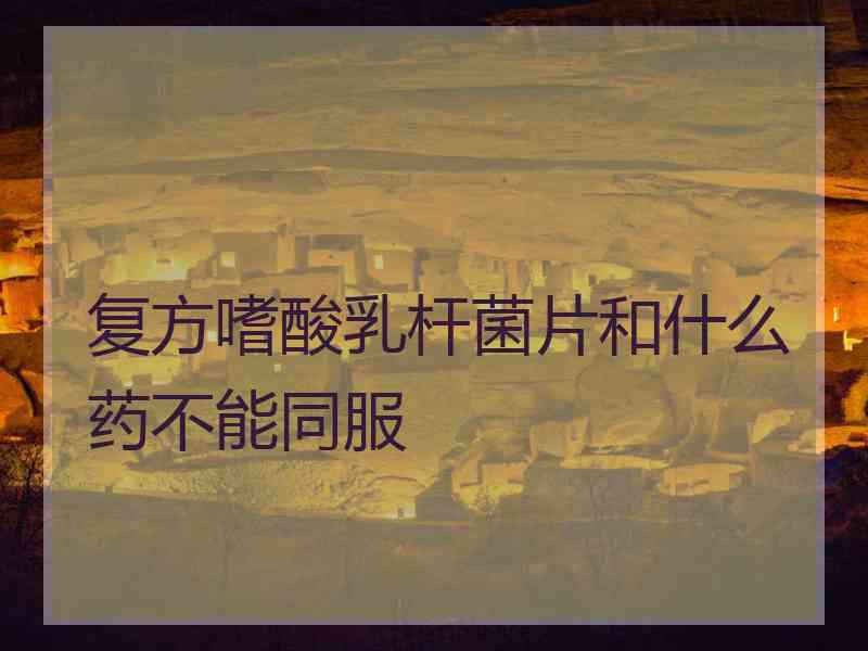 复方嗜酸乳杆菌片和什么药不能同服