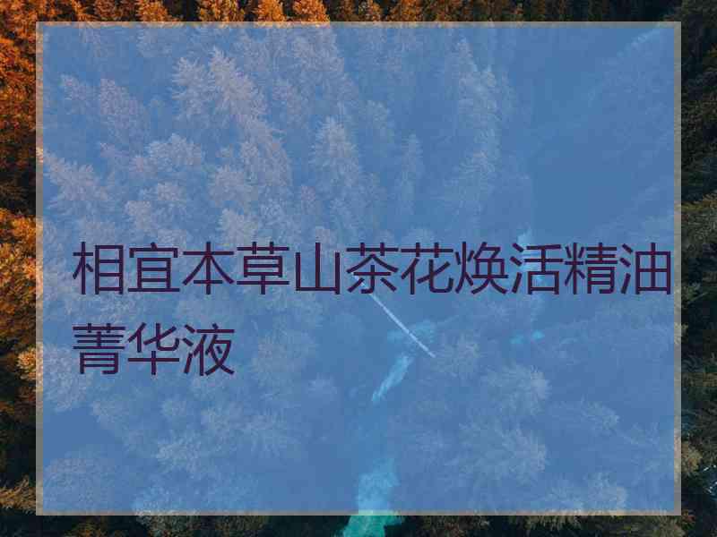 相宜本草山茶花焕活精油菁华液