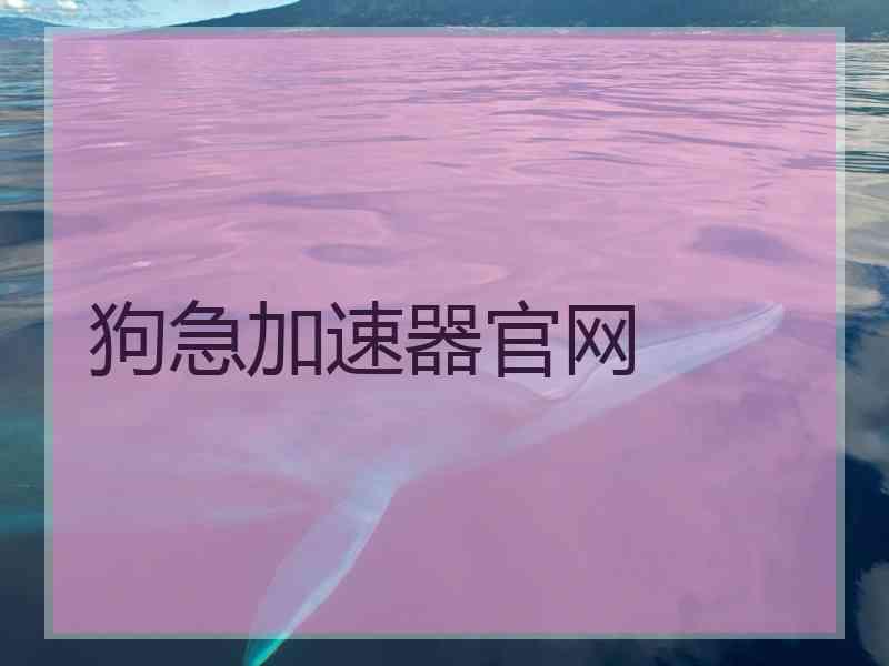 狗急加速器官网