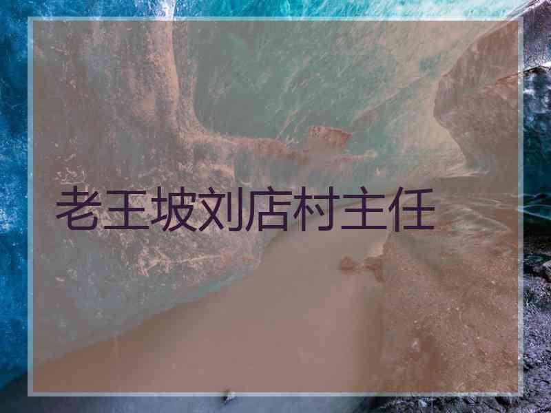 老王坡刘店村主任