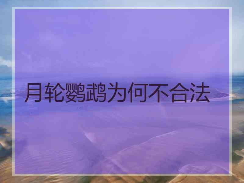 月轮鹦鹉为何不合法