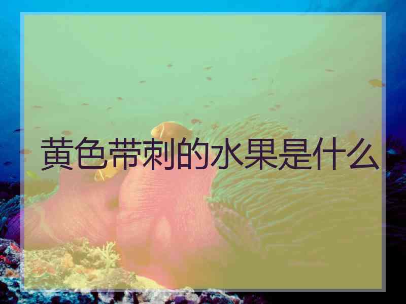 黄色带刺的水果是什么