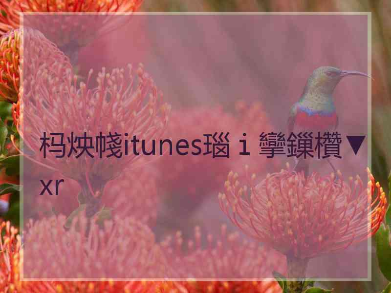 杩炴帴itunes瑙ｉ攣鏁欑▼xr