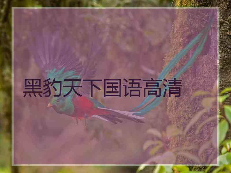 黑豹天下国语高清
