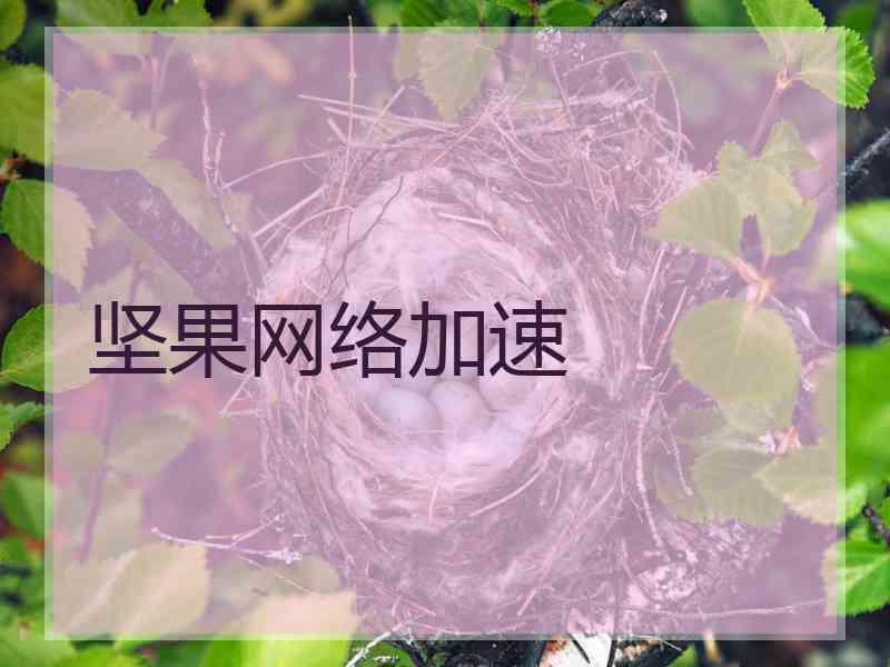 坚果网络加速
