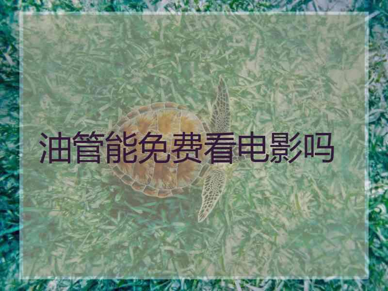油管能免费看电影吗