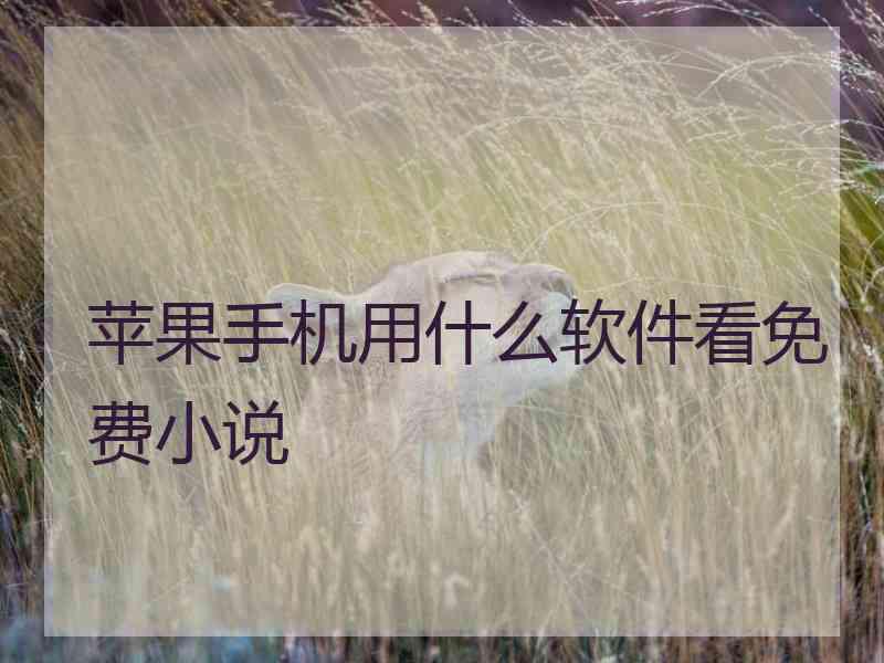 苹果手机用什么软件看免费小说