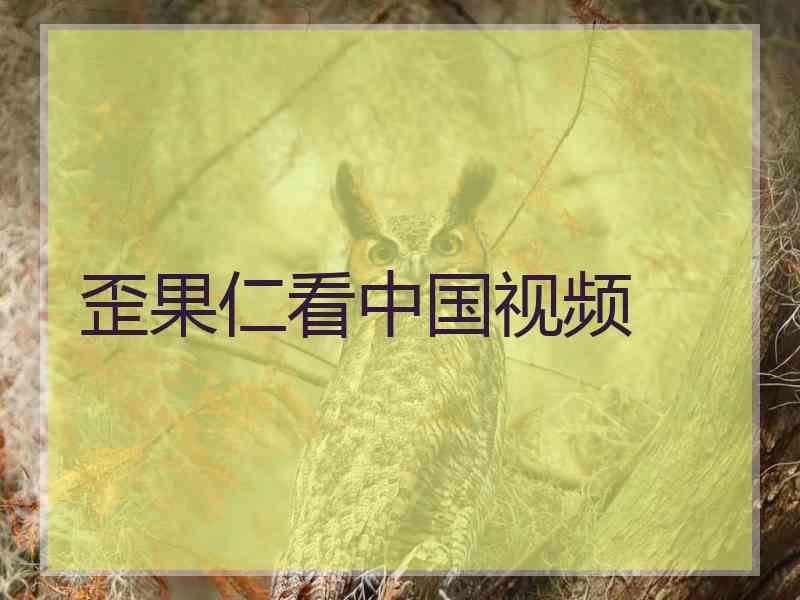 歪果仁看中国视频