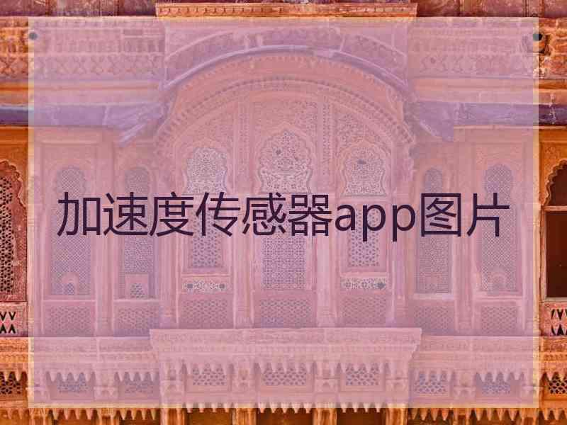加速度传感器app图片