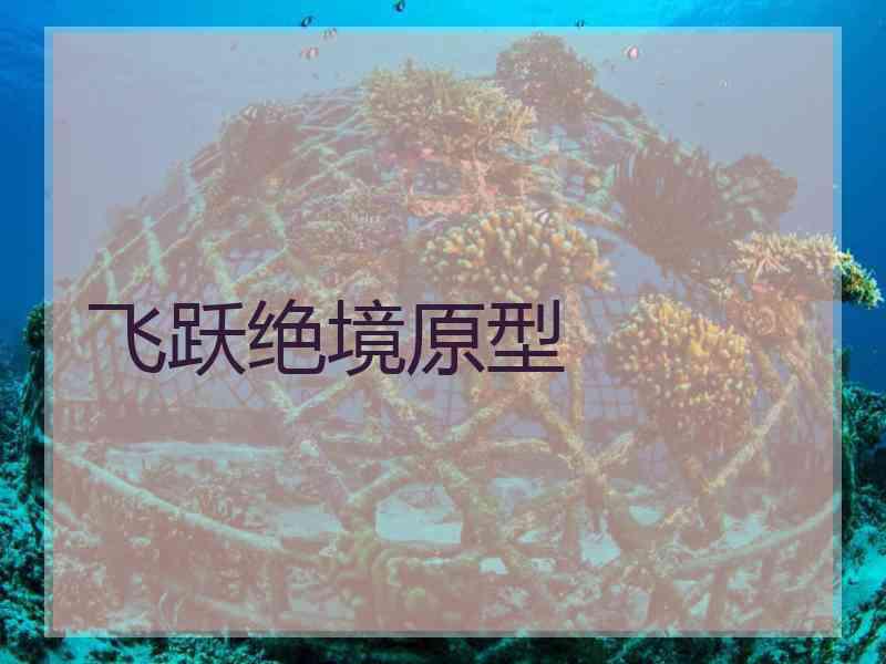 飞跃绝境原型