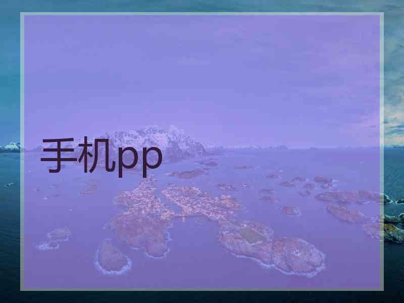 手机pp